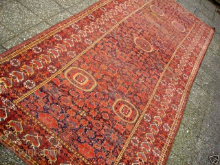 Besheir Kahn Carpet 206cm x 515 cm  Needs some Work on it.                    