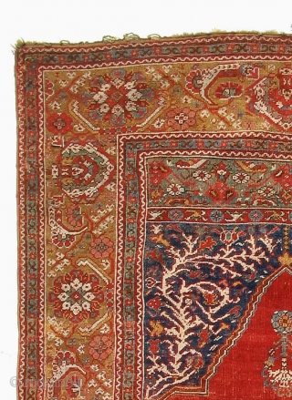 Ghiordes prayer rug, about 1700, higly collectible. Info & similar examples on www.transylvanianrugs.com                    