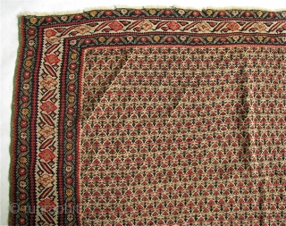 Antique 4' 5" x 6' 7" Senneh Kilim with one small hole.  Free Ship/U.S.  3 Day returns.  Sorry, no direct overseas shipping.        