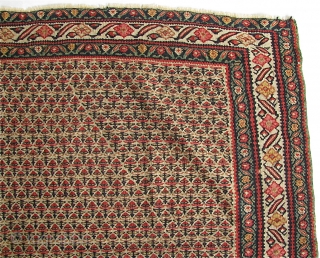 Antique 4' 5" x 6' 7" Senneh Kilim with one small hole.  Free Ship/U.S.  3 Day returns.  Sorry, no direct overseas shipping.        