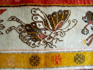 Xinjiang-Khotan rug with two peacocks in the central field surrounded by flowers.  The border is composed of several varieties of plants, flowers and.... butterflies.  One corner detail is rather odd,  ...