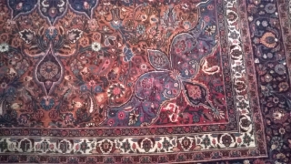 huge antique Persian carpet (19th/ 20th century) in perfect condition

325 by 270 cm                    