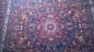 huge and rare antique Qashqai rug, Late 19th century, handknoted in perfect condition.
325 by 270 cm
not restored!                