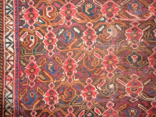 
  Antique  Afshar  19 th. century  135 X 154  cm.  Natural colours 

  kelim  ends , rare  pattern , one  small repair  ...