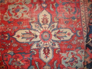    Antique  Ziegler  Sultanabad / Mahal  292 X 375  cm.

  Unique  dekoratve  big Pattern with  superb natural colors

  Komplet  with  ...