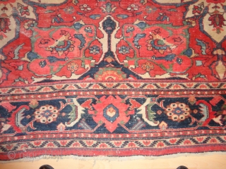    Antique  Ziegler  Sultanabad / Mahal  292 X 375  cm.

  Unique  dekoratve  big Pattern with  superb natural colors

  Komplet  with  ...