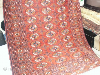     Fine  antique  Tekke Turkmen  132 X 181 cm.
    Velvet lusterous wool,very slight wear in center
    one very small foldwear  ...