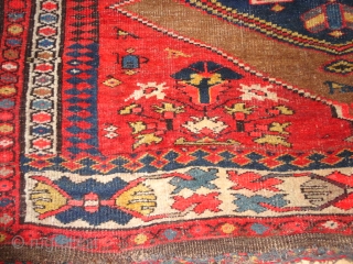    Antique  Bidjar  Wagireh / sampler rug  19  Jh. century  108 X 117 cm.

   wool  foundation  ,  superb  natural  ...