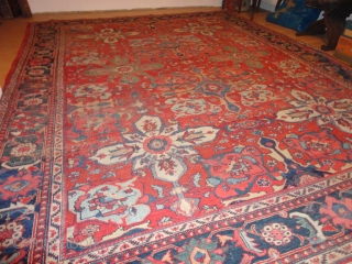   Antique  Ziegler Sultanabad   292 X 375  cm  Very  dekorative big pattern ,
  with  superb  natural  colours  , komplet   ...