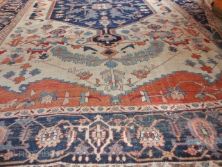 Magnificent  antique  Serapi , Nord-West  Persien  19  th. century  320 X 417  cm.

Fantastique , amasing  colours , quality  wool , fine  weave  ...