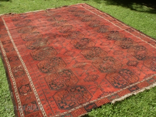 
   Beautiful antik  Ersari Main carpet 19 th. ca. 253 X 308 cm
   Wunderful  colours very rare  archaic pattern , shows wear , 
   ...