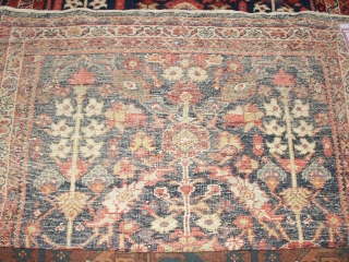   Antique  Sultanabad  runner  19 Jh.  100 X 302  cm.
  Beautiful pattern with superb natural colours .
  Very slight wear otherweis in good condition  ...