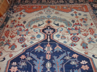   Magnificent  antique  Serapi  Nod-West  Persien , 19 Jh. century , 320 X 417 cm.

  Fantastik , amasing  colours  , quality  wool ,  ...