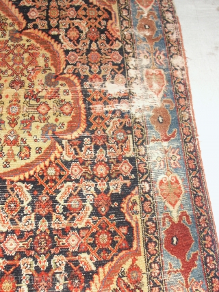 

   Superb  and  rare antique  Malayer 19 th. century 
   121  X  191  cm.  wunderfull  natural  colours with a  ...