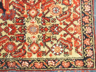 

   Superb  and  rare antique  Malayer 19 th. century 
   121  X  191  cm.  wunderfull  natural  colours with a  ...