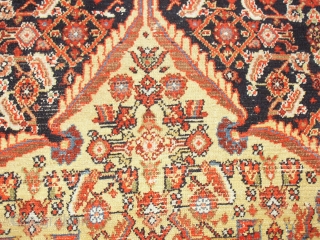 

   Superb  and  rare antique  Malayer 19 th. century 
   121  X  191  cm.  wunderfull  natural  colours with a  ...