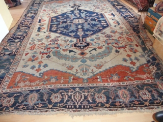  Magnificent  antique  white ground  Serapi  carpet  Nord-West Persien  19 th. century

 320 X 417 cm. Fantastic  colours , quality  wool , fine   ...