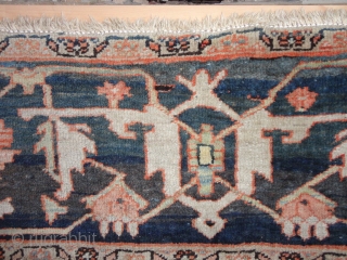  Magnificent  antique  white ground  Serapi  carpet  Nord-West Persien  19 th. century

 320 X 417 cm. Fantastic  colours , quality  wool , fine   ...