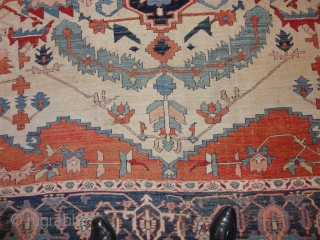   Magnificent  antique  Serapi  Nord-West  Persien , 19 th. century  320 X 417 cm.

  Fantastik  amasing  colors , quality wool , fine   ...