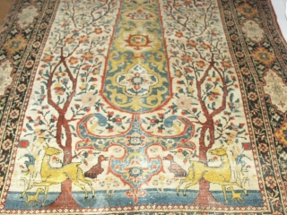 
   Musual  Kirmanshah Prayer Rug ca. 1850 
   133 X 202  cm.  Need a  few restoration .
   Owned  by  my  ...
