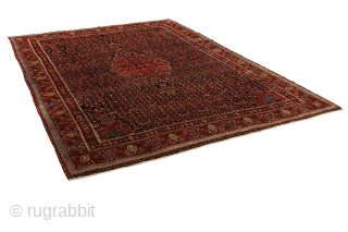 Bijar - Kurdi - Antique Persian Carpet

Size: 350x250 cm
Thickness: Medium (5-10mm)
Oldness: 80-100 (Antique)
Pile - Warp: Wool on Cotton
Node Density: about 160,000 knots per m²

email:carpetu2@gmail.com
         