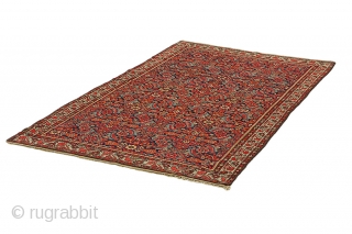 Farahan - Antique Persian Carpet 
Over 100+ years 
More info: info@carpetu2.com                      