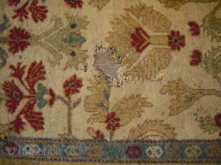 Old Ziegler Carpet - dated 1893 - fragmented condition - moth bites/holes - very soft and glossy wool - freshly washed - piece looks a bit jounger - I have no clue,  ...