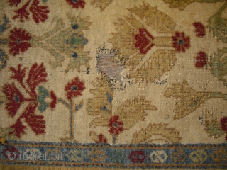 Old Ziegler Carpet - dated 1893 - fragmented condition - moth bites/holes - very soft and glossy wool - freshly washed - piece looks a bit jounger - I have no clue,  ...