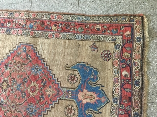 Kurdish Bidjar rug - Antique - Camel hair probably . Size: 103 x 147 cm - with worn places - very decorativ           