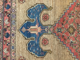 Kurdish Bidjar rug - Antique - Camel hair probably . Size: 103 x 147 cm - with worn places - very decorativ           