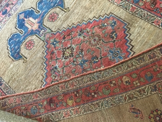 Kurdish Bidjar rug - Antique - Camel hair probably . Size: 103 x 147 cm - with worn places - very decorativ           