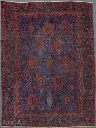 A rare Timuri Baluch main carpet, 180 x 246 cm, restored.                      