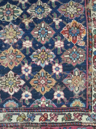 Antique south Caucasian, 196 x 126 cm, some damages and old restaurations. Rich palette of great colors.                