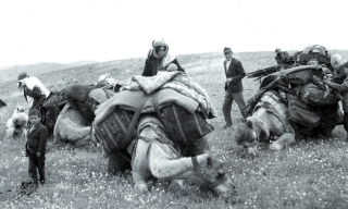 Webinar: "Nomads of West Iran and their Amazing Transport Bags" with Paul Ramsey, Gallerist, Exhibition Curator, Rug Expert and Educator Denver, Colorado.  Saturday, January 25, 2025,  10 am Pt /  ...