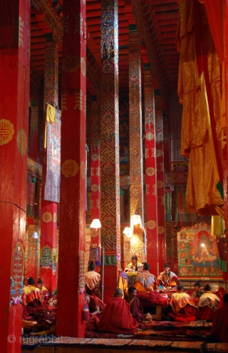 Zoom Webinar: "Festivals, Fairs & Rituals: Textiles, Costumes and Pile Trappings of the Eastern Grasslands of Tibet" /
Saturday, April 10, 2021 / 10 – 11:30 a.m. Pacific Daylight Time,  Textile Museum  ...