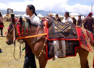 Zoom Webinar: "Festivals, Fairs & Rituals: Textiles, Costumes and Pile Trappings of the Eastern Grasslands of Tibet" /
Saturday, April 10, 2021 / 10 – 11:30 a.m. Pacific Daylight Time,  Textile Museum  ...