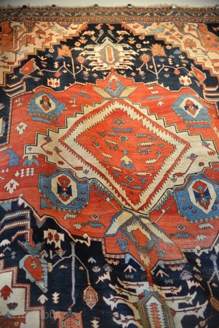 A prominent Southern rug collection on sale and display at the Sarkis Kish Oriental Rug Gallery in Memphis, TN. This collection includes an inscribed Star Kazak, inscribed Serapis, an inscribed Karachoff --  ...