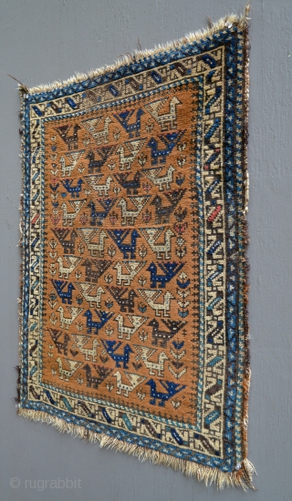 Antique small bird Baluch. 28 x 26 inches.                         