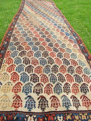 351-Boteh Shirvan runner. XIXth C. White/ivory ground. 100% wool. All natural colors. Needs repairs. 33 x 105 inches.               