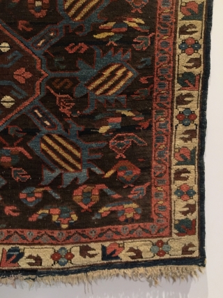 Kuba bird rug. 1st half 19th Century.  Two medallions on purple brown field, radiating birds with Marasali type striping.  Note three Seychour cabbage heads floating below upper medallion. Attractive floral  ...