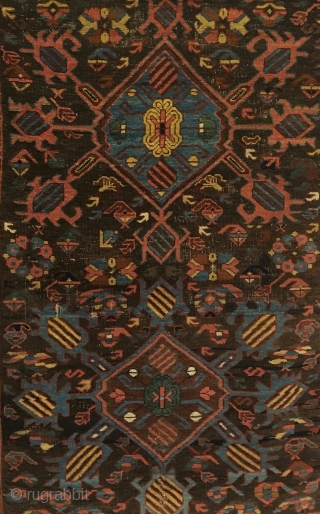 Kuba bird rug. 1st half 19th Century.  Two medallions on purple brown field, radiating birds with Marasali type striping.  Note three Seychour cabbage heads floating below upper medallion. Attractive floral  ...