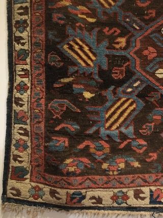 Kuba bird rug. 1st half 19th Century.  Two medallions on purple brown field, radiating birds with Marasali type striping.  Note three Seychour cabbage heads floating below upper medallion. Attractive floral  ...