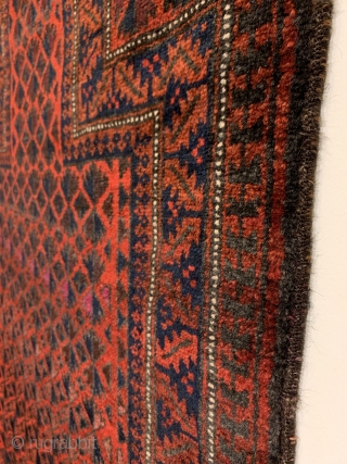 Baluch Prayer Rug. North East Persia. 20th Century. Willow leaf trees, quilted diamonds, and Ashik gols intwine and radiate upward into prayer niche. Excellent condition with full pile. 7 colors. 4'3" x  ...