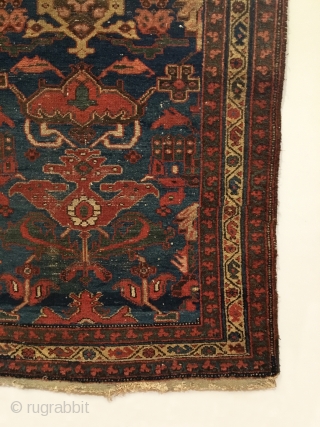 Antique Bakhtiari Long Rug.  Last Quarter 19th Century.  Floral garden field.  Art-level design.  If you placed the white palmette with extending bird heads below the twin dragon head  ...