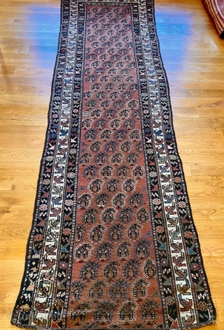 Antique Persian Veramin Boteh runner rug. Alternating diagonal pattern on a madder field. Missing 3 borders on bottom, made with 6 bold colors, and was given a museum-quality hand wash before being  ...