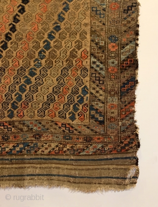 Antique Baluch Rug. Last quarter 19th Century. Alternating Botehs on Camel field. Strong colors throughout including light steel blue, turquoise, apricot and purple. Original condition with no repairs. 12 colors. 5’2” x  ...