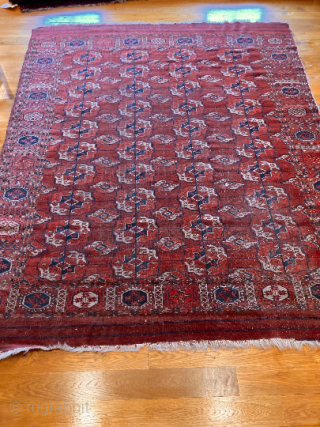 8’6” x 6’8” Antique Tekke Main Chuval Gol Rug [116].

An antique Tekke main rug. A pattern that displays 4 X 10 gols with the rare chuval gol. Including a maroon field, and  ...