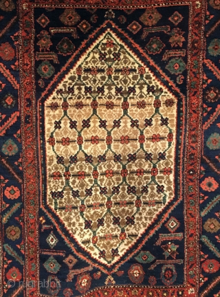 Kolyai Shirshekeri Kurd Rug.  Circa Antique.  Lattice field design.  Very good condition.  8 colors.  75 x 50.  Clean and hand washed.      