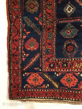 Kolyai Shirshekeri Kurd Rug.  Circa Antique.  Lattice field design.  Very good condition.  8 colors.  75 x 50.  Clean and hand washed.      