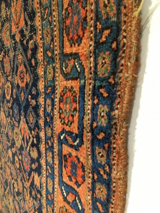 Bidjar Rug.  Late 19th Century.  Good condition.  7 colors including purple.  72 x 46.  Clean and hand washed.          